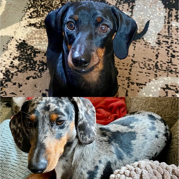 Designer & Luxury Bags, Wallets, Bag charms, Jewelry ๐๐ & Crystals ๐ฎ๐งฟ - Picture 2 of 14